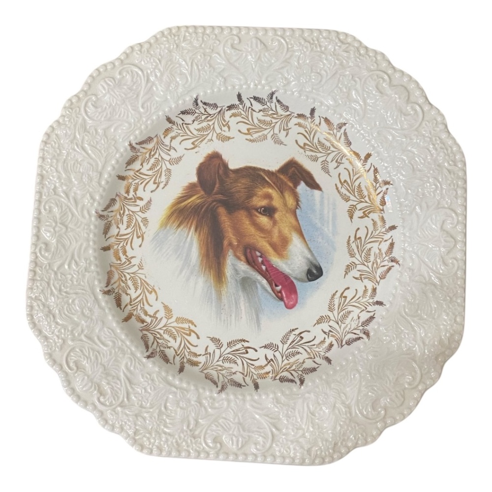 Vintage Lord Nelson Pottery Collie Plate. Made in England